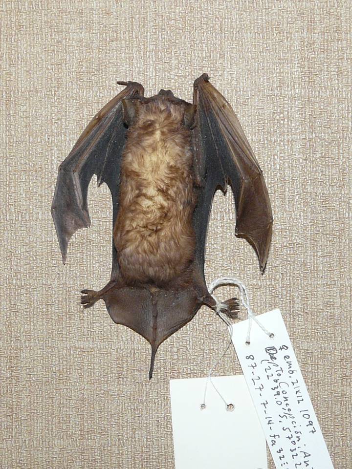 FIGURE 1 FIGURE 1